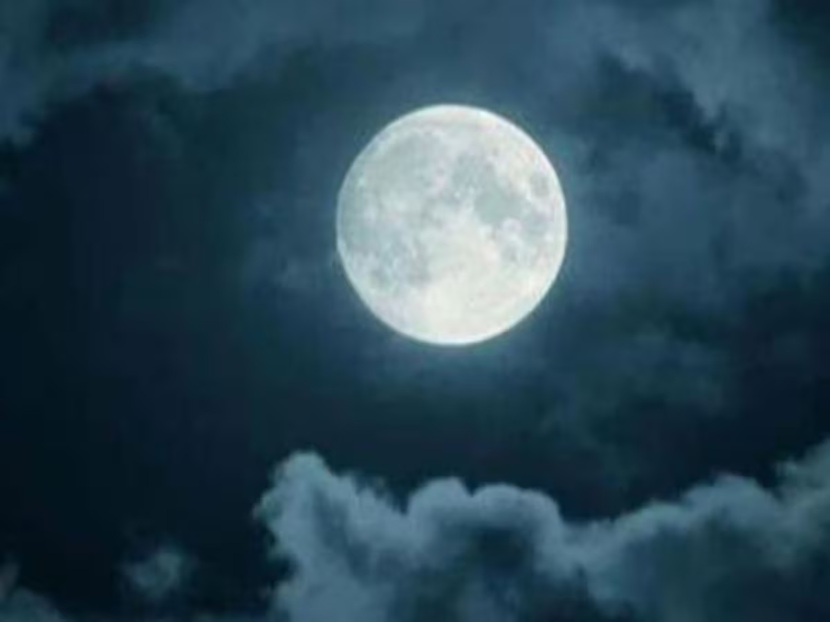 Photo of मार्गशीर्ष पूर्णिमा: हरिहर स्नान और दान-पुण्य का विशेष महत्व