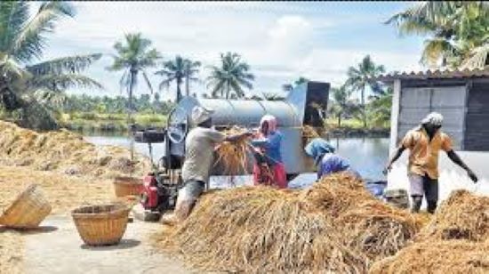 Photo of 425 फर्जी किसानों की धान खरीद खरीदारी का आरोप