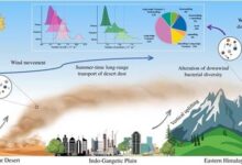 Photo of रेगिस्तानी धूल के साथ हिमालय पहुंच रहे खतरनाक बैक्टीरिया, बढ़ रहा श्वसन और त्वचा रोगों का खतरा