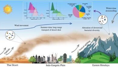 Photo of रेगिस्तानी धूल के साथ हिमालय पहुंच रहे खतरनाक बैक्टीरिया, बढ़ रहा श्वसन और त्वचा रोगों का खतरा
