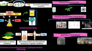 Photo of घी से बना ‘ग्रीन’ बायोसरफैक्टेंट! नॉर्थ ईस्ट संस्थान की खोज बदल सकती है कॉस्मेटिक इंडस्ट्री का चेहरा