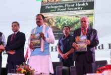 Photo of एमिटी में वैश्विक मंथन: वैज्ञानिकों के नवाचार से मजबूत होगी खाद्य सुरक्षा की नींव