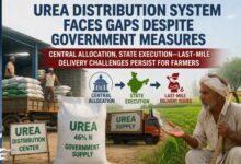 Photo of यूरिया वितरण पर निर्भरता और सिस्टम की चुनौतियां—सहकारी नेटवर्क पर बढ़ता दबाव