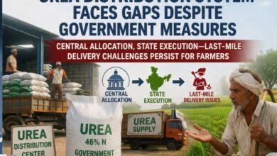 Photo of यूरिया वितरण पर निर्भरता और सिस्टम की चुनौतियां—सहकारी नेटवर्क पर बढ़ता दबाव