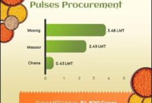 Photo of MSP खरीद में बड़ा उछाल, छत्तीसगढ़ में 12,000 MT पार