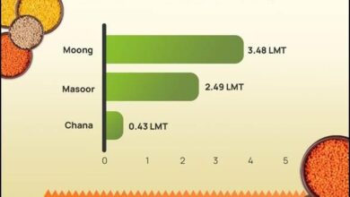 Photo of MSP खरीद में बड़ा उछाल, छत्तीसगढ़ में 12,000 MT पार