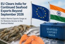 Photo of यूरोपीय संघ ने भारतीय समुद्री उत्पादों को दी बड़ी राहत, सितंबर 2026 के बाद भी जारी रहेगा निर्यात