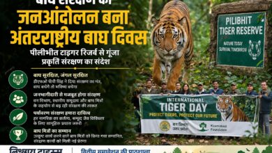 Photo of बाघ संरक्षण का जनआंदोलन बना अंतरराष्ट्रीय बाघ दिवस