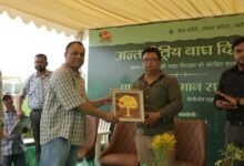 Photo of बाघ संरक्षण का जनआंदोलन बना अंतरराष्ट्रीय बाघ दिवस