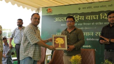 Photo of बाघ संरक्षण का जनआंदोलन बना अंतरराष्ट्रीय बाघ दिवस