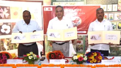 Photo of अक्षुण्ण विरासत: साहित्य और खेल का ऐतिहासिक संगम